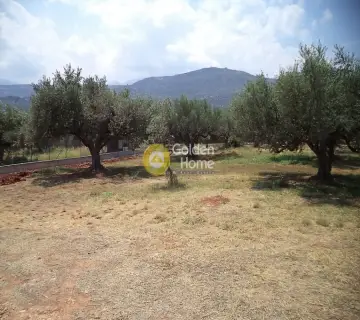 Residential 980m<sup>2</sup> for sale photo 3
