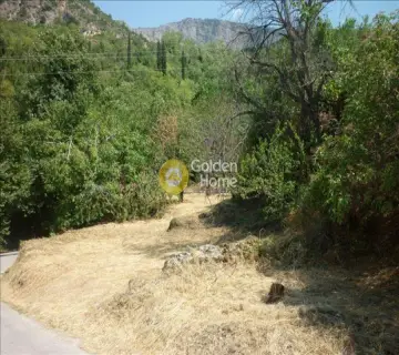 Residential 1100m<sup>2</sup> for sale photo 1