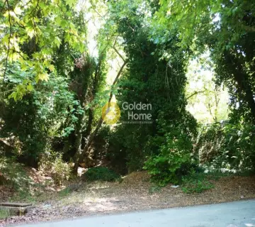 Residential 1100m<sup>2</sup> for sale photo 2