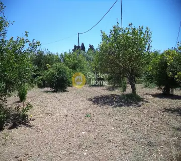 Residential 600m<sup>2</sup> for sale photo 1