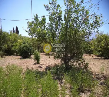 Residential 600m<sup>2</sup> for sale photo 4