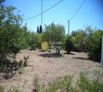 Residential 600m<sup>2</sup> for sale photo 5