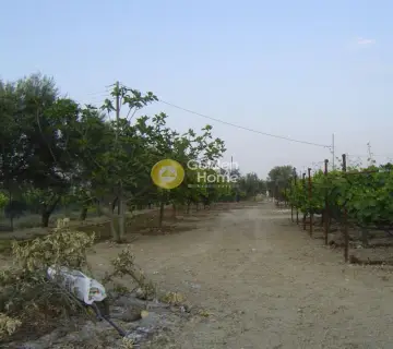  8400m<sup>2</sup> for sale photo 4