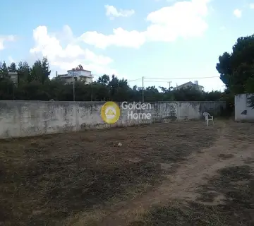 Residential 850m<sup>2</sup> for sale photo 5