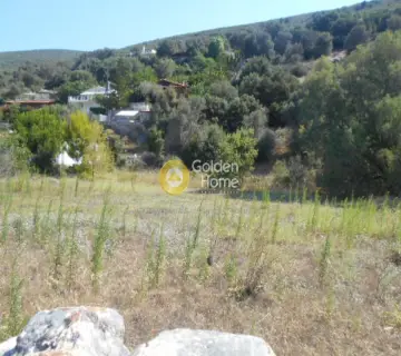 Residential 2050m<sup>2</sup> for sale photo 7