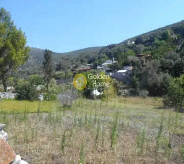 Residential 2050m<sup>2</sup> for sale photo 14