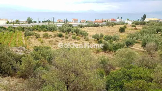 Parcel 6700m<sup>2</sup> for sale photo 5353190