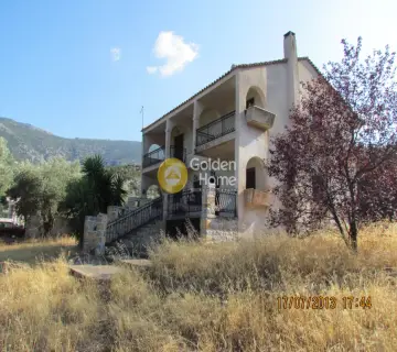 Golden Home Property Image