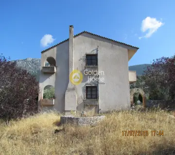 Golden Home Property Image