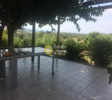 Μονοκατοικία 190τ.μ. προς πώληση φωτογραφία 14
