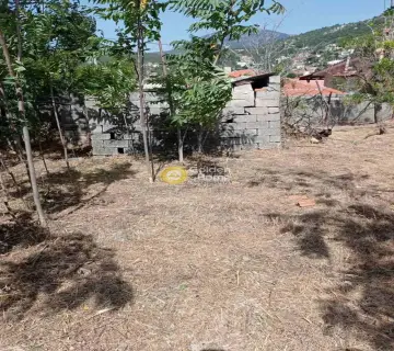 Residential 390m<sup>2</sup> for sale photo 3