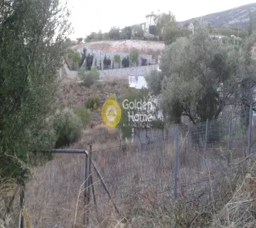 Οικιστικό 480τ.μ. προς πώληση φωτογραφία 1