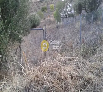 Οικιστικό 480τ.μ. προς πώληση φωτογραφία 3