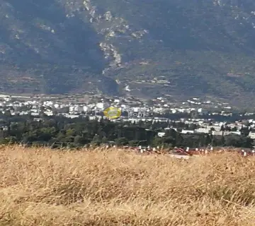 Parcel 10000m<sup>2</sup> for sale photo 1