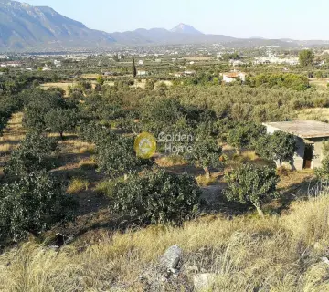 Parcel 10000m<sup>2</sup> for sale photo 4