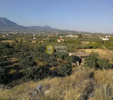 Parcel 10000m<sup>2</sup> for sale photo 5