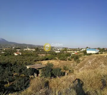 Golden Home Property Image