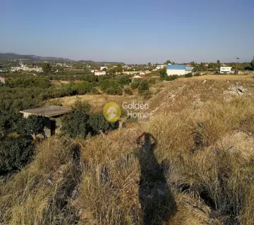 Parcel 10000m<sup>2</sup> for sale photo 9