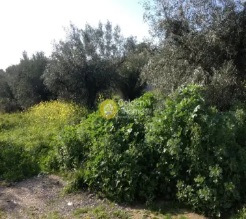 Οικιστικό 7146τ.μ. προς πώληση φωτογραφία 4