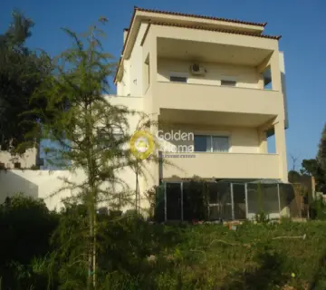 Μονοκατοικία 360τ.μ. προς πώληση φωτογραφία 2