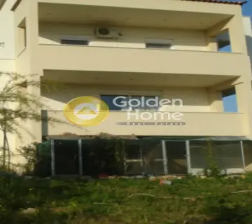 Μονοκατοικία 360τ.μ. προς πώληση φωτογραφία 3