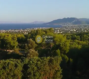 Μονοκατοικία 360τ.μ. προς πώληση φωτογραφία 4