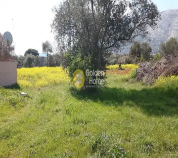Οικιστικό 809τ.μ. προς πώληση φωτογραφία 8