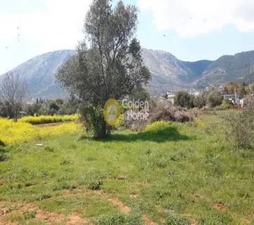 Οικιστικό 809τ.μ. προς πώληση φωτογραφία 1