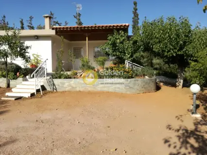 Μονοκατοικία 65τ.μ. προς πώληση φωτογραφία 2