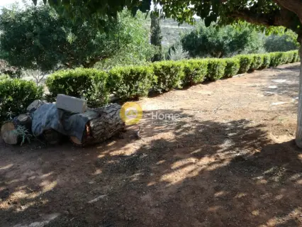 Μονοκατοικία 65τ.μ. προς πώληση φωτογραφία 9