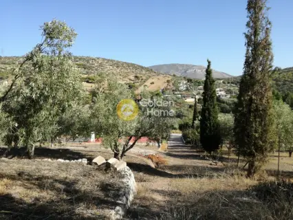 Golden Home Property Image