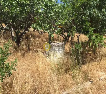 Οικιστικό 1800τ.μ. προς πώληση φωτογραφία 1222714