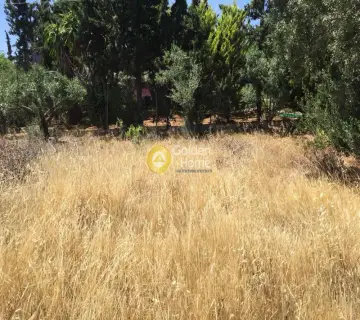 Οικιστικό 1800τ.μ. προς πώληση φωτογραφία 1222717