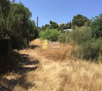 Οικιστικό 1800τ.μ. προς πώληση φωτογραφία 1222720