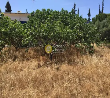 Οικιστικό 1800τ.μ. προς πώληση φωτογραφία 1222722