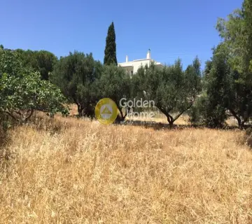 Οικιστικό 1800τ.μ. προς πώληση φωτογραφία 1222723