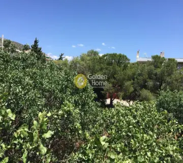 Οικιστικό 1800τ.μ. προς πώληση φωτογραφία 1222725