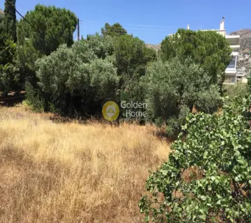 Οικιστικό 1800τ.μ. προς πώληση φωτογραφία 1222728
