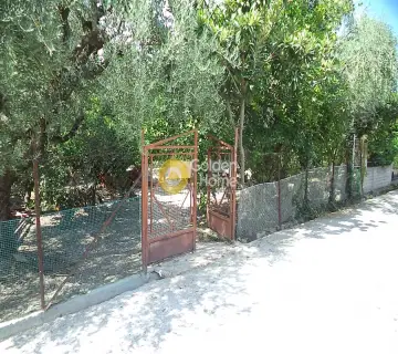 Residential 1172m<sup>2</sup> for sale photo 2