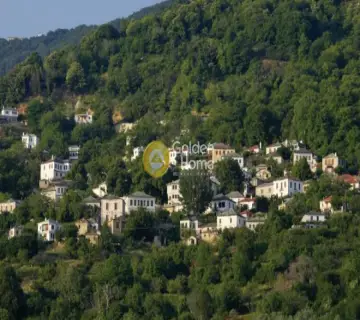 Οικιστικό 1600τ.μ. προς πώληση φωτογραφία 3