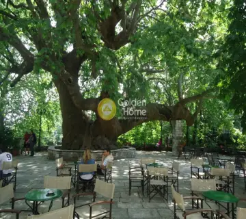 Οικιστικό 1600τ.μ. προς πώληση φωτογραφία 4