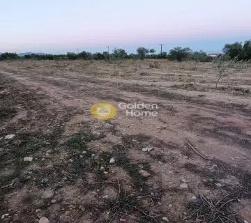 Parcel 3830m<sup>2</sup> for rent photo 1