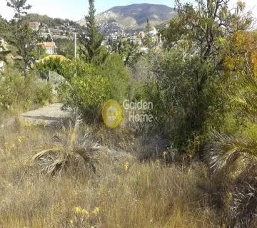 Golden Home Property Image