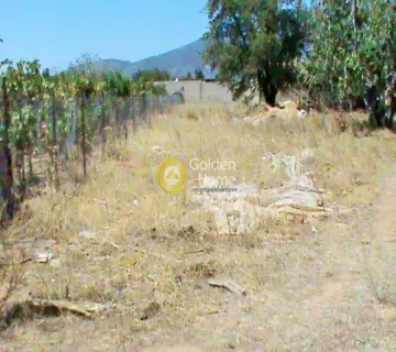 Parcel 600m<sup>2</sup> for rent photo 2