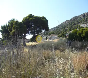 Golden Home Property Image