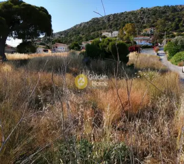 Residential 1062m<sup>2</sup> for sale photo 7