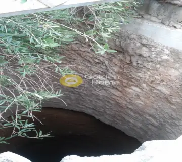Οικιστικό 4900τ.μ. προς πώληση φωτογραφία 17