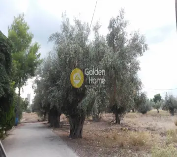 Οικιστικό 4900τ.μ. προς πώληση φωτογραφία 7