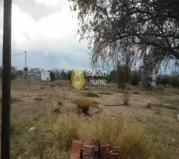 Οικιστικό 4900τ.μ. προς πώληση φωτογραφία 8