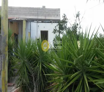 Οικιστικό 4900τ.μ. προς πώληση φωτογραφία 12